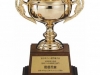 taikai-cup01