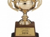 taikai-cup02
