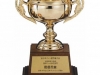 taikai-cup02